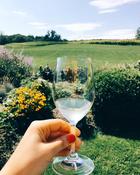 Case, Sipping in the Garden (Updated! 12 bottles)