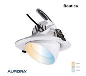 AURORA Boutica Adjustable 38W Colour Switchable Retail Wallwasher White