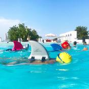 SwimFin Swimfloat - leisurewear.ie image