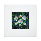 Forget Me Daisy Print