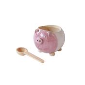 Pink Salt Piggy