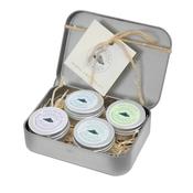 Herbal First Aid Kit image