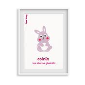 Coinín - Rabbit image