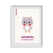 Ulchabhán - Owl