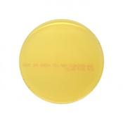 SDA Aircheck® (Sabouraud Dextrose Agar), 90mm Plate, Irradiated image