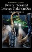 TWENTY THOUSAND LEAGUES UNDER THE SEA image