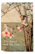 SOUND AND THE FURY image
