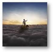The Endless River image