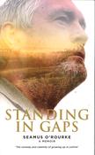 Standing In Gaps image