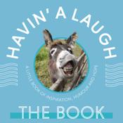 Havin' A Laugh image