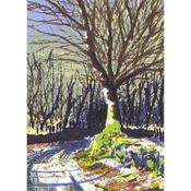 Winter Birch image