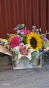 Hat box Flower Pops - Everyday Blooms - Lily Bloom florist Ltd image