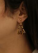 Abbie Brown Earrings