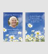 Field of Daisies Wallet Card