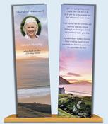 Views of Achill Bookmark