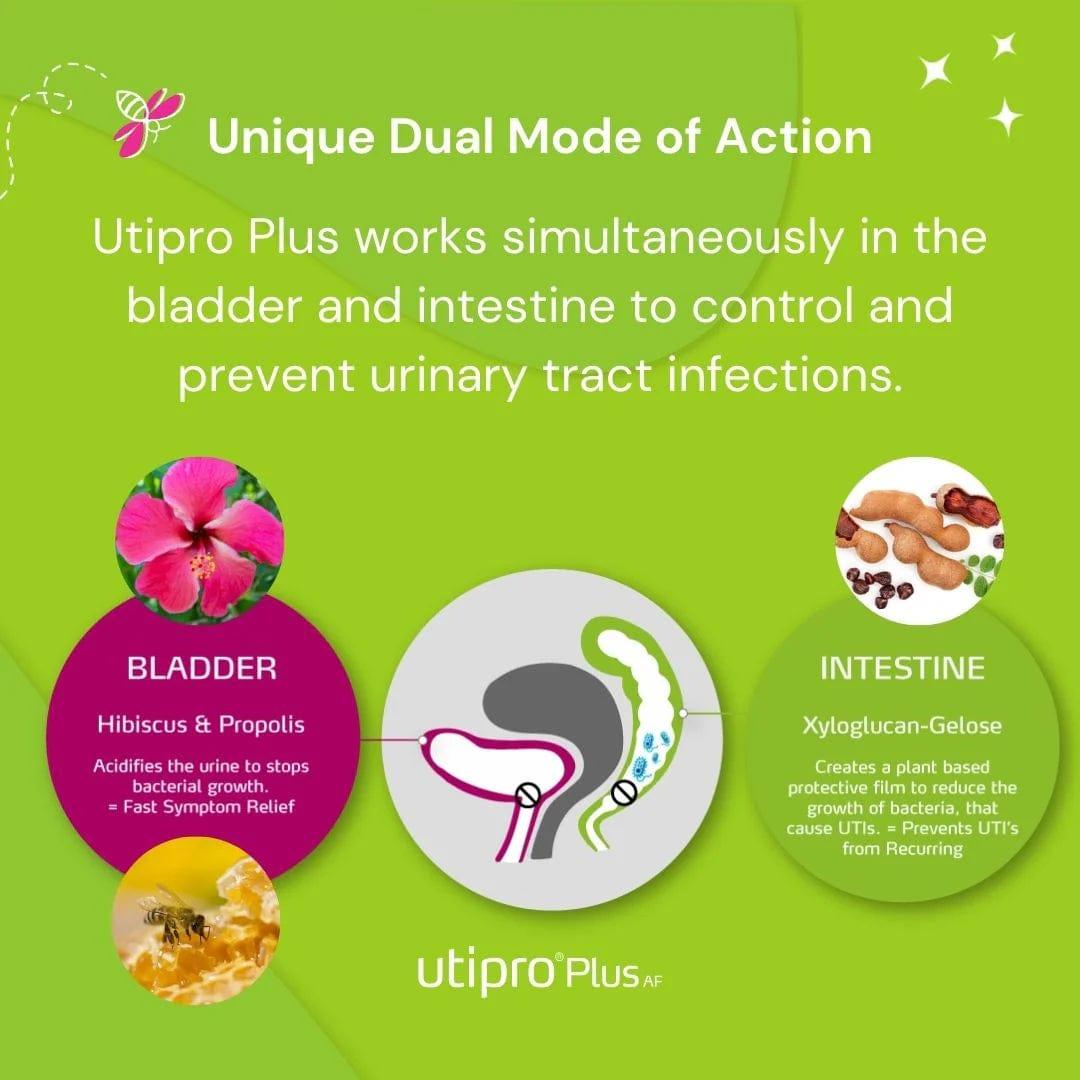 Utipro Plus AF 15 Capsules - Control and prevention of urinary tract infections