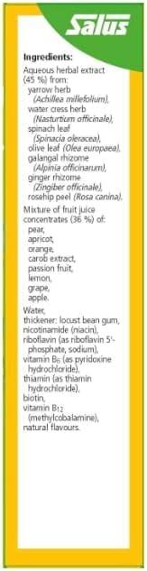 Salus Haus Floradix Vitamin-B-Complex Liquid Vitamin Formula 250ml Vegan