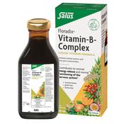 Floradix Salus Vitamin B Complex 250ml image