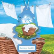 Summer Cotton Air Freshener - 4 Pack