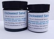 Chickweed Salve