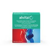 Alvita First Aid Hot &amp; Cold Compress 1 Compress