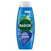 Radox 2in1 Shower Gel &amp; Shampoo Feel Awake 675ml