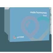 YorkTest Male Hormones Test