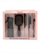 Beaut Co Detangling Hair Brush Set image