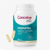 Conceive Plus Prenatal Support 60 Capsules image