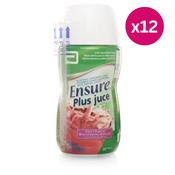 Ensure Plus Juce Fruit Punch 220ml x12 image