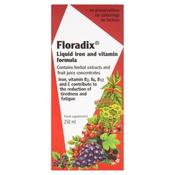 Floradix Liquid Iron Formula 250ml image