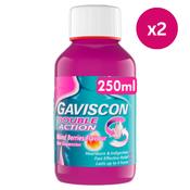Gaviscon Double Action Mixed Berries 250ml x2 image