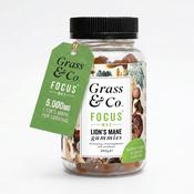 Grass &amp; Co. FOCUS MAX 5000mg Lions Mane Elderflower &amp; Lemon Gummies 60 Gummies image