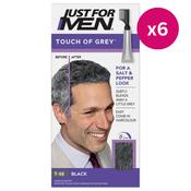 Just For Men Touch of Grey Black T-55 x 6 image