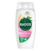 Radox Shower Gel Moisturise 225ml