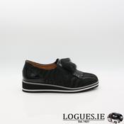 24302 CAPRICE 20 image