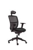 Nico High Back Mesh Chair - Lots Furnishings image