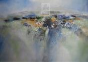 Burren Summer Day by Manus Walsh