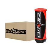 Box of 24 tubes of Black Crown Pro Padel Balls