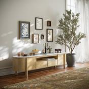 Phoenix TV Unit - Large image