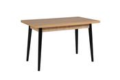 Lotti Dining Table image