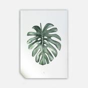 Water Leave, 50cmx70cm wall art image