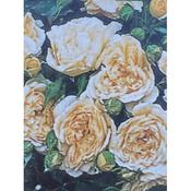 Rosa 'Happy Birthday'
