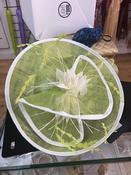 Lisa Fascinator image