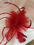 Red Headpiece image