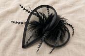Luna Raven Black Feather &amp; Sinamay Fascinator Clip image