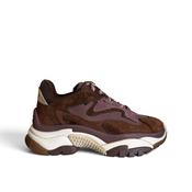 ASH Addict Brown & Rose Trainer