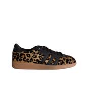 Back 70 Shelly Leopard Print Trainer
