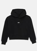 Tommy Hilfiger tonal hoodie