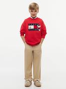 Peanuts® Flag Graphic Embroidery Jumper